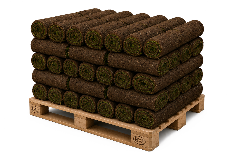 Rollrasen