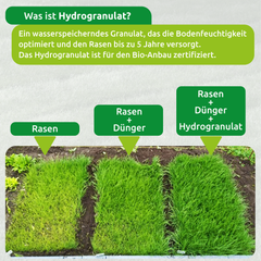 Rasenmatte