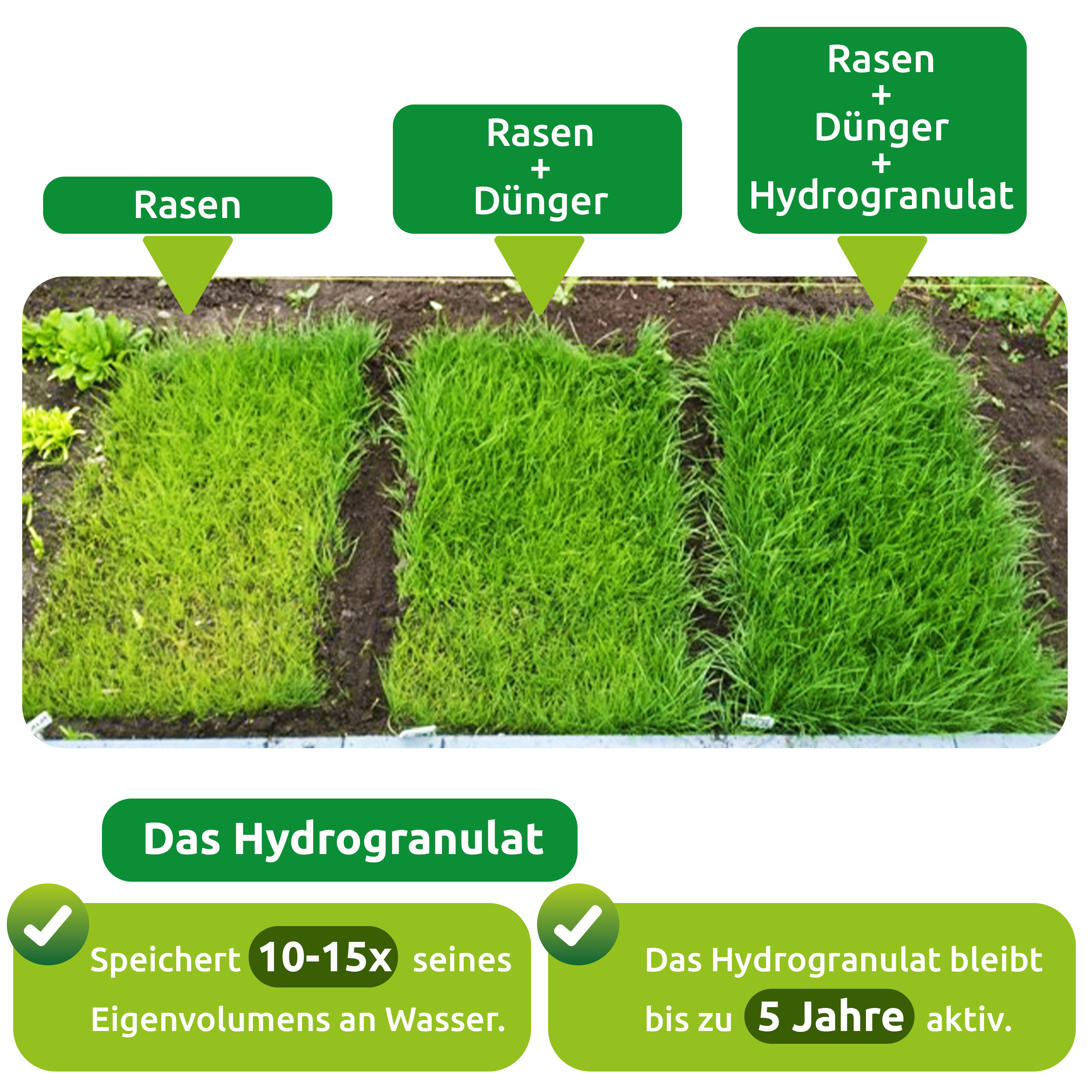 Rasenmatte