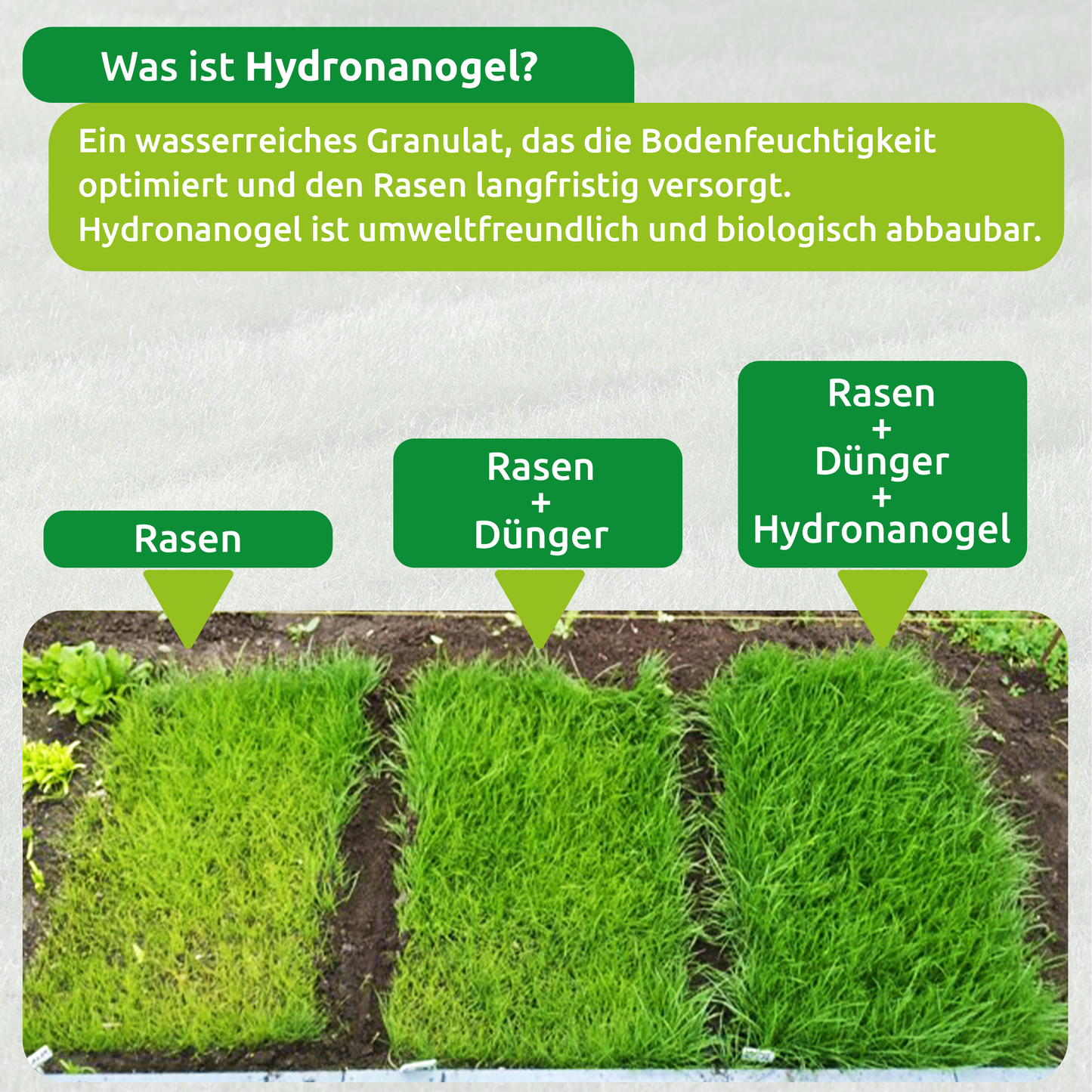 Biologisch abbaubare Rasenmatte mit integriertem Dünger und Hydronanogel